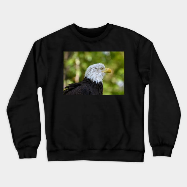 Fierce Crewneck Sweatshirt by gdb2